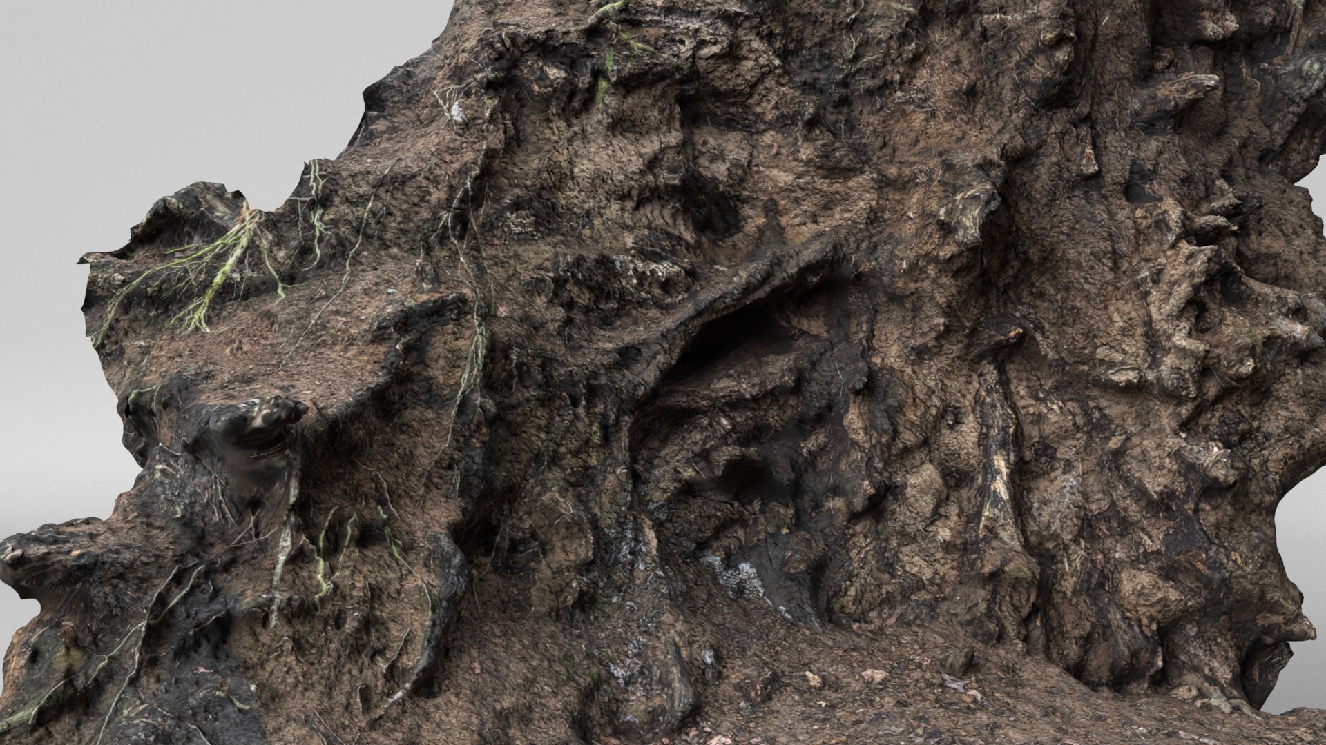8K Root Wall model https://p.turbosquid.com/ts-thumb/iR/kgqcE4/dL/render5/jpg/1772748757/1920x1080/fit_q87/49f9a2111d8bfd63fd4ce94fde43cb2a9014764a/render5.jpg