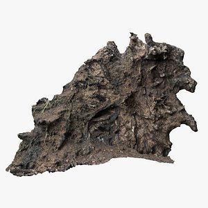 8K Root Wall model