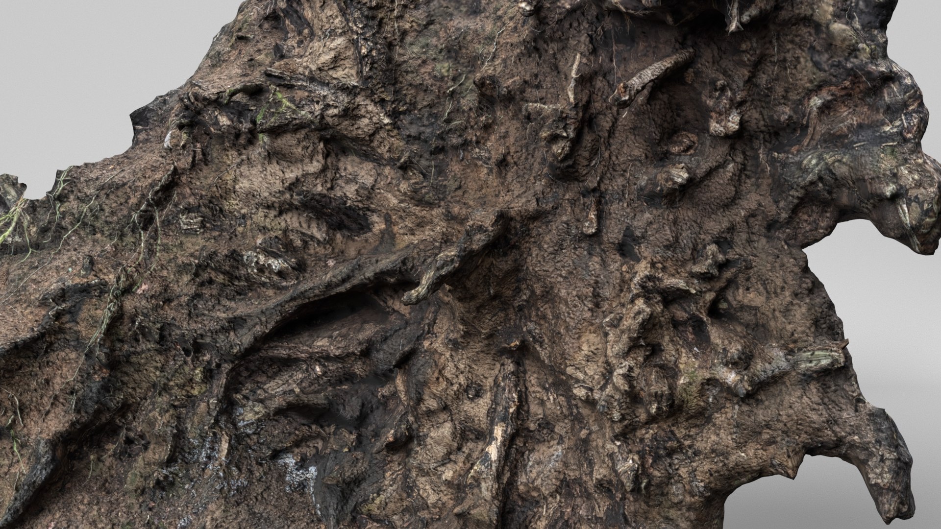 8K Root Wall model https://p.turbosquid.com/ts-thumb/iR/kgqcE4/m3/render6/jpg/1772748758/1920x1080/fit_q87/5260e31ea8e86e6a0b53a6db9e878578ba3fc256/render6.jpg