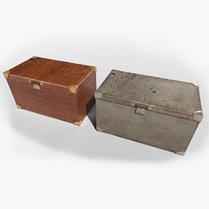 3D Old trunk