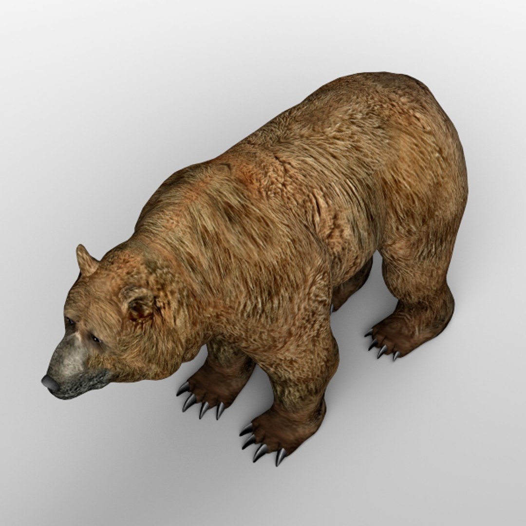 3d Model Hand Bear Fur