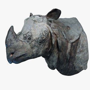 Rhino Head Remastered 3D model