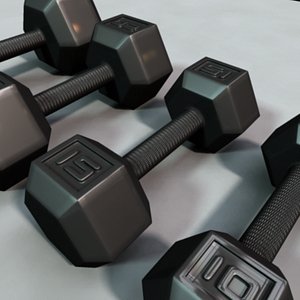 set dumbbells 3d model