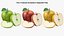 Apfel-Set 01