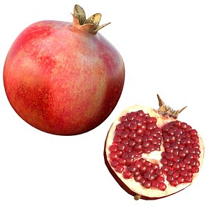 Pomegranate fruit model