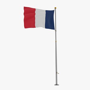 3D Pole Flag France