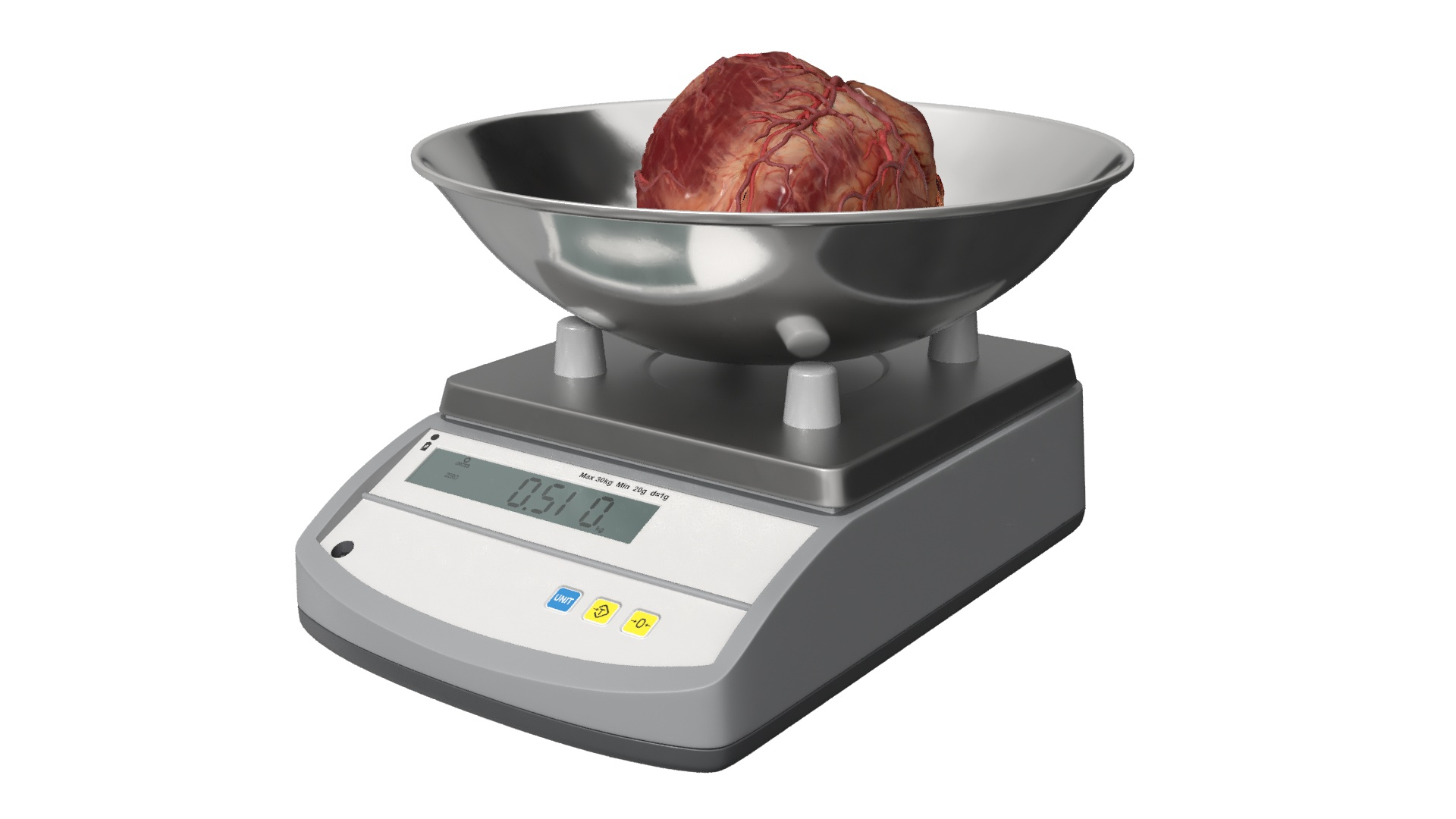 3D Heart on Scales model https://p.turbosquid.com/ts-thumb/iS/qO6PkG/JS/heart_on_scales_360/jpg/1743226729/1920x1080/turn_fit_q99/69fcd0209bc30b7a4eb009795cea7b2059c57147/heart_on_scales_360-1.jpg