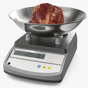 3D Heart on Scales model