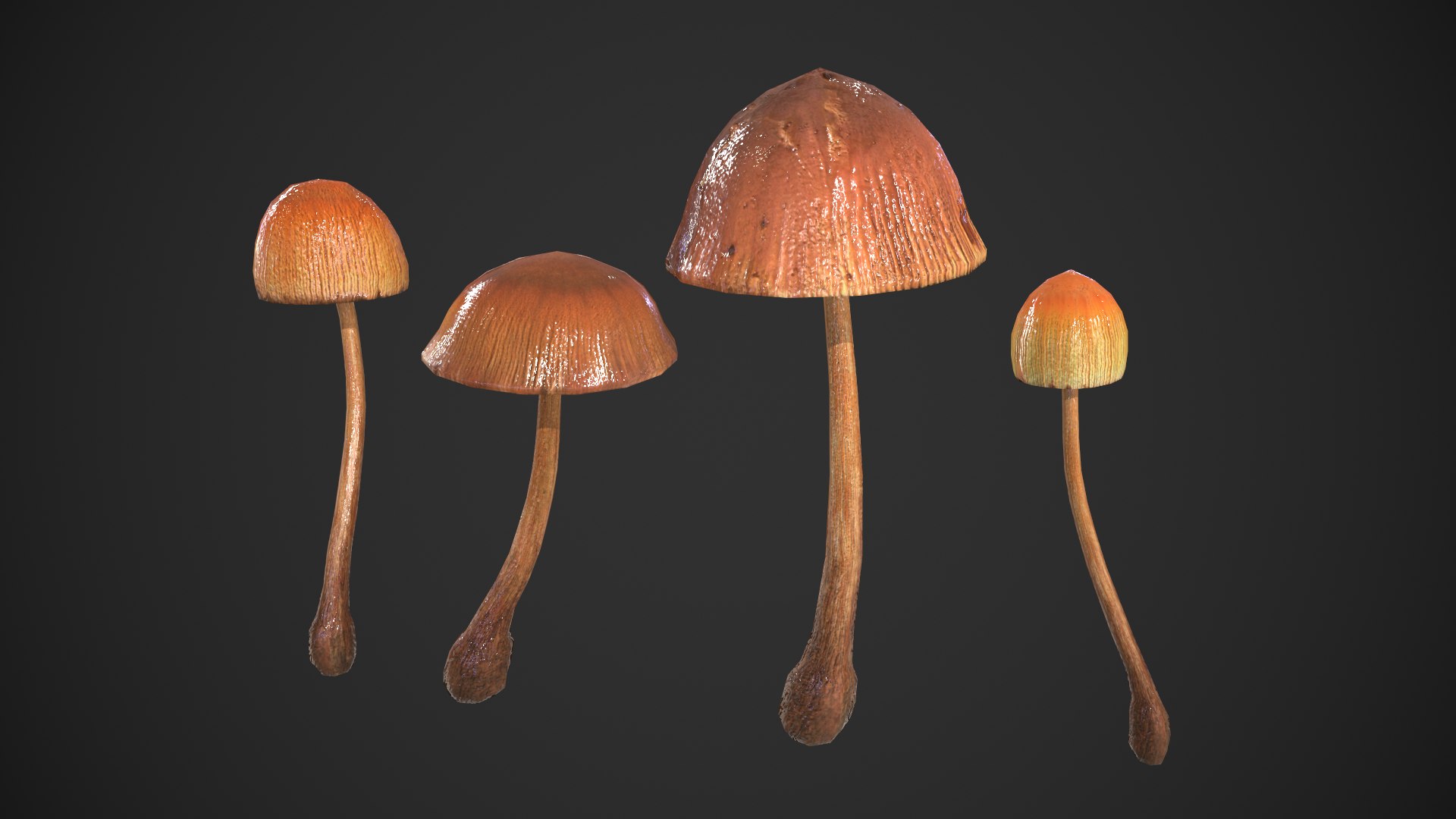 Generic Mushrooms 3D https://p.turbosquid.com/ts-thumb/iS/stTZ58/Hd/generic_mushrooms_003/png/1693290667/1920x1080/fit_q87/a286c0df799a7212d945b88a796530ef09afa3e6/generic_mushrooms_003.jpg