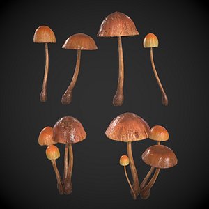 Generic Mushrooms
