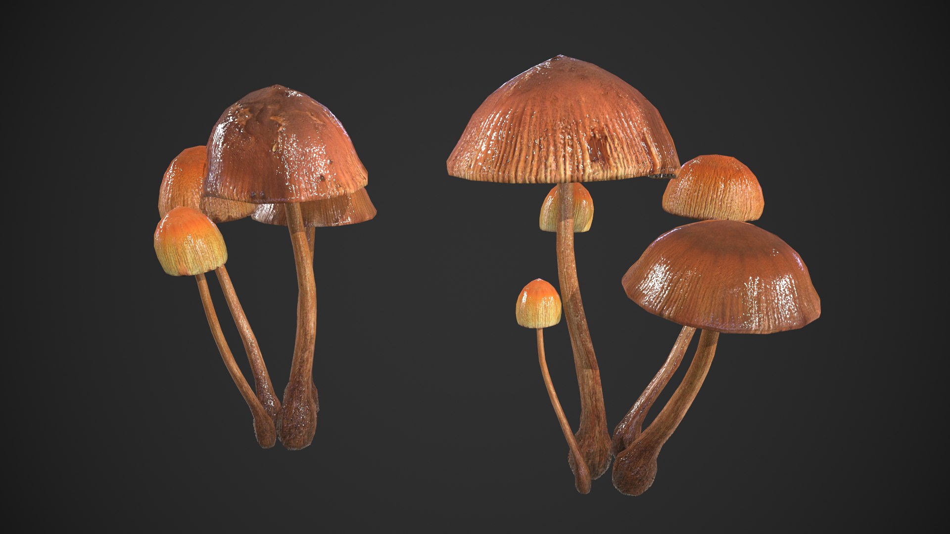 Generic Mushrooms 3D https://p.turbosquid.com/ts-thumb/iS/stTZ58/qn/generic_mushrooms_005/png/1693290670/1920x1080/fit_q87/91c30b547c8846ef7ebc958f75508a5e2da4778b/generic_mushrooms_005.jpg