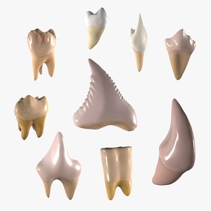 Great Teeth Pack