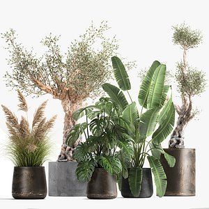 Ornamental plants for landscape design 1060 3D model