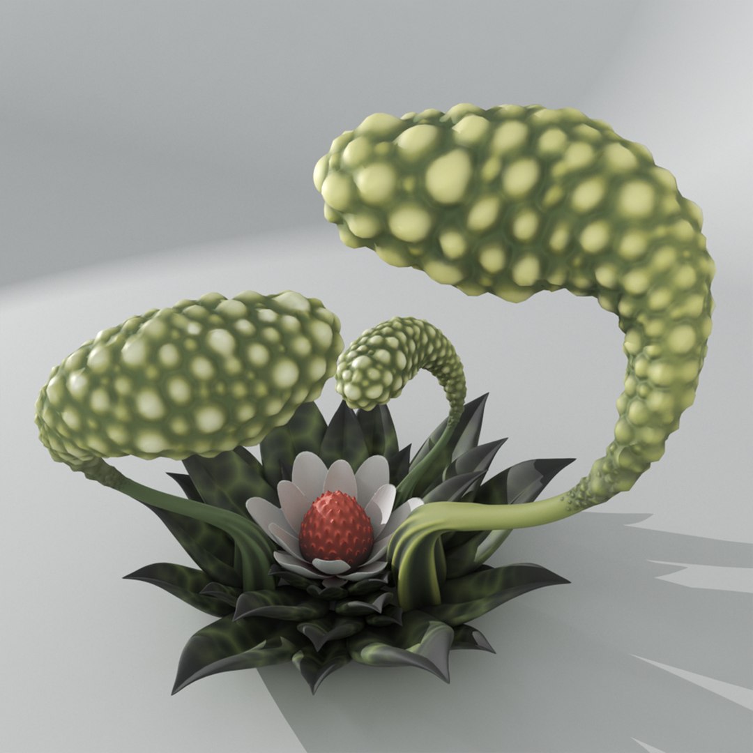 alien plant codex seraphinianus 3D model https://p.turbosquid.com/ts-thumb/iS/zDAnQa/MBzjsf09/4/jpg/1589379957/1920x1080/fit_q87/358bed89e83a7510adbc834410fdc14ee15140b0/4.jpg