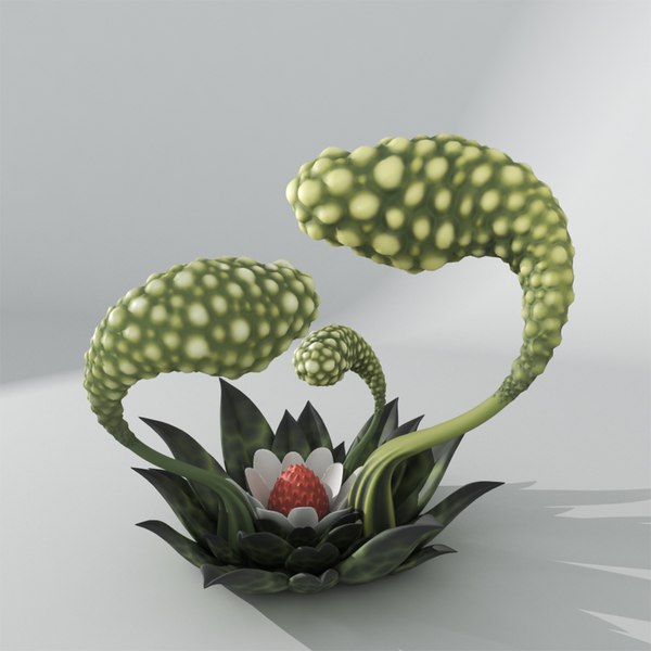 コーデックスセラフィニアヌスエイリアン架空の植物3Dモデル