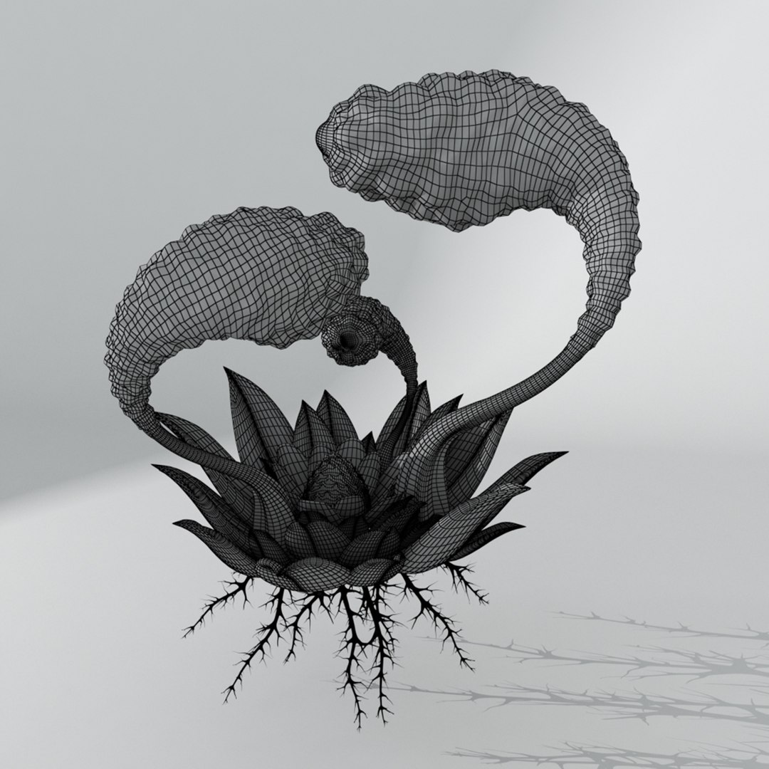 alien plant codex seraphinianus 3D model https://p.turbosquid.com/ts-thumb/iS/zDAnQa/hK8EmceP/3/jpg/1589379982/1920x1080/fit_q87/23f39af584db8694d322720becc7c11926df2234/3.jpg