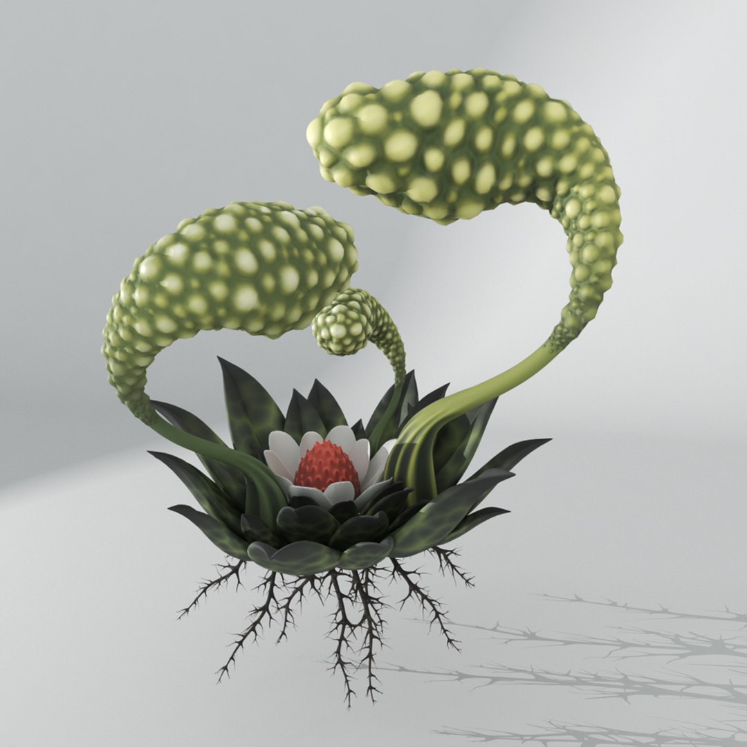 alien plant codex seraphinianus 3D model https://p.turbosquid.com/ts-thumb/iS/zDAnQa/m4fwmSuA/2/jpg/1589379945/1920x1080/fit_q87/8d6ba4189717e7cba823bc84df94287864757823/2.jpg