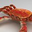 Crab rigged