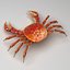 Crab rigged