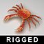 Crab rigged