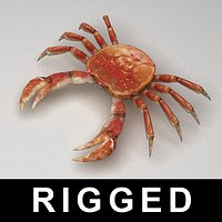 Crab rigged