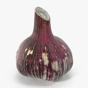 garlic bulb model