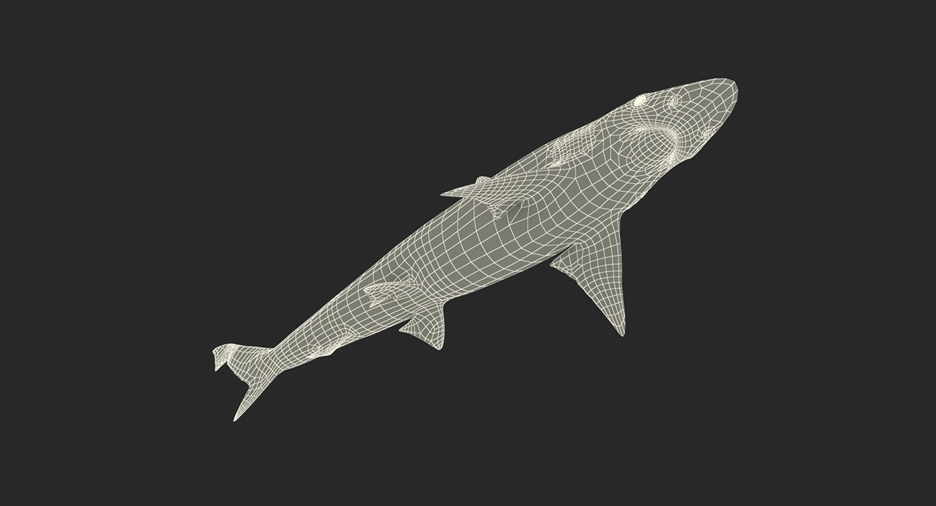 3D Sharks Collection 11 https://p.turbosquid.com/ts-thumb/iT/VwJ7Rg/0m/sharkscollection113dsmodel034/jpg/1628251090/1920x1080/fit_q87/880221c1b5a7495c2ab7a2176009ed37385d1d25/sharkscollection113dsmodel034.jpg