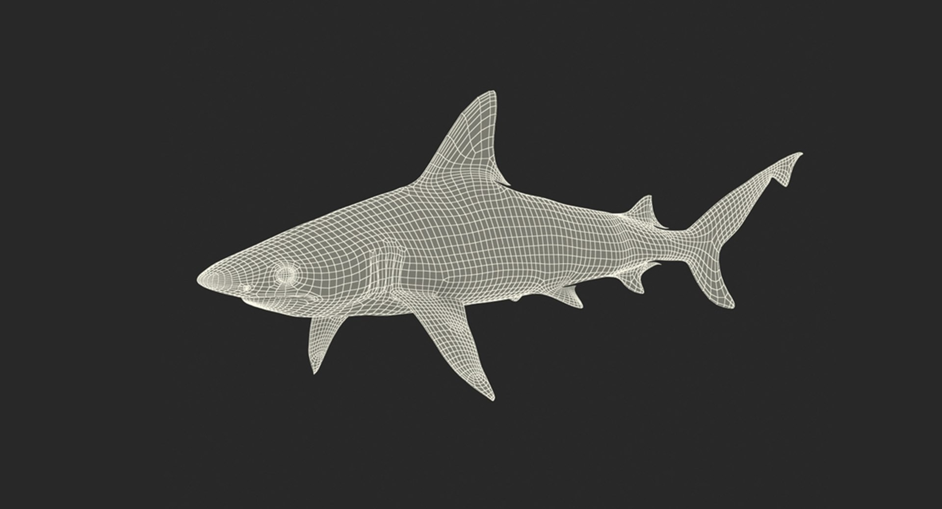 3D Sharks Collection 11 https://p.turbosquid.com/ts-thumb/iT/VwJ7Rg/3y/sharkscollection113dsmodel033/jpg/1628251088/1920x1080/fit_q87/f25e7c434129606d27dd00f37a4f1dfdd108c521/sharkscollection113dsmodel033.jpg
