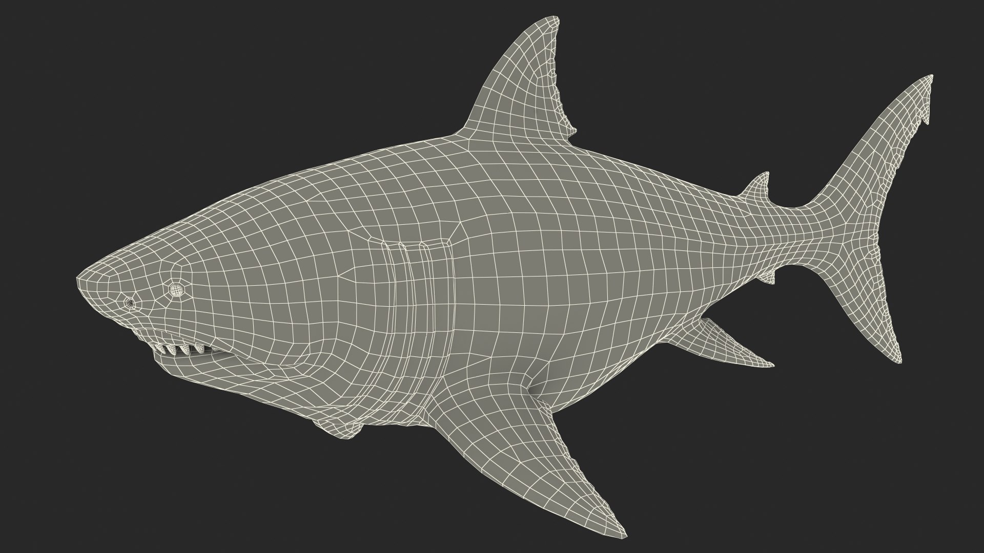 3D Sharks Collection 11 https://p.turbosquid.com/ts-thumb/iT/VwJ7Rg/Yz/sharkscollection113dsmodel032/jpg/1628251086/1920x1080/fit_q87/9458f0c57912097e0d8e4add86fb135760666525/sharkscollection113dsmodel032.jpg
