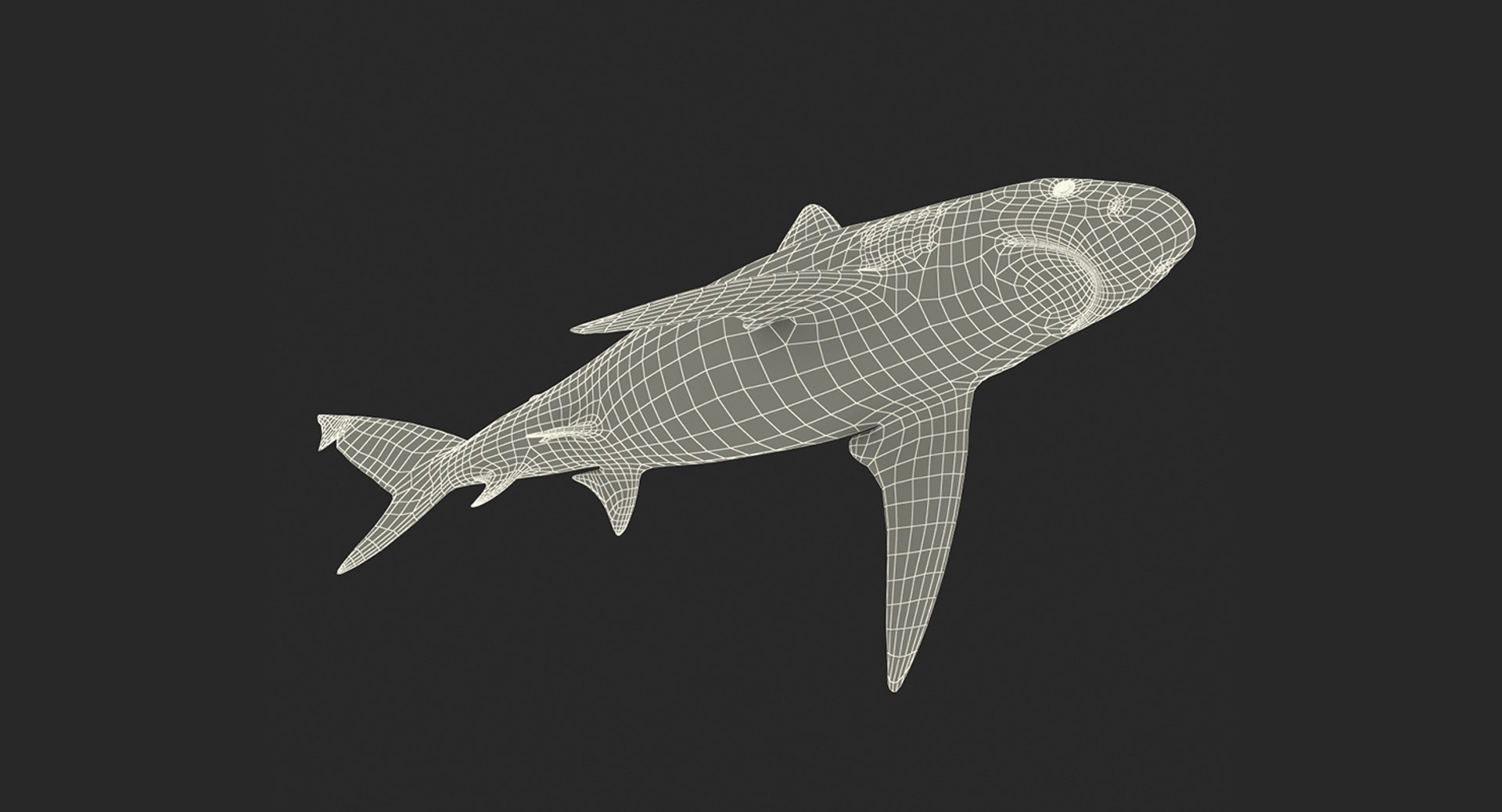 3D Sharks Collection 11 https://p.turbosquid.com/ts-thumb/iT/VwJ7Rg/ja/sharkscollection113dsmodel035/jpg/1628251092/1920x1080/fit_q87/aba38ac8512a61a94558186a5937f231f5460d2e/sharkscollection113dsmodel035.jpg