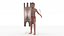 Pre-Colonial Filipino Warrior 3D