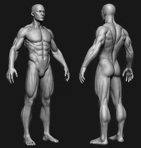 Anatomy ZTL Tool