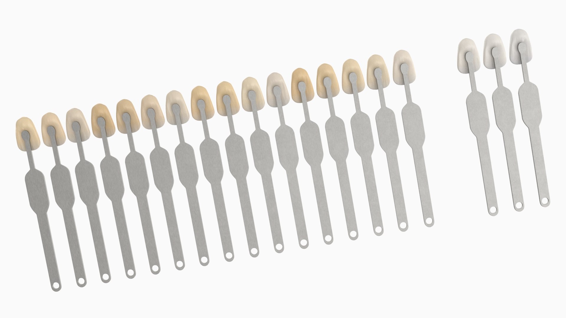 3D Teeth Shade Guide With Bleached Shades Model - TurboSquid 2202052