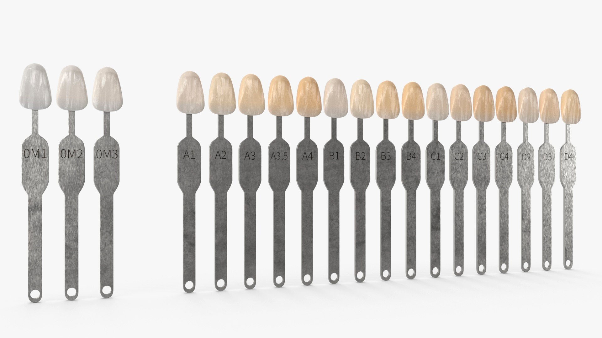 Teeth Shade Guide with Bleached Shades 3D model preview