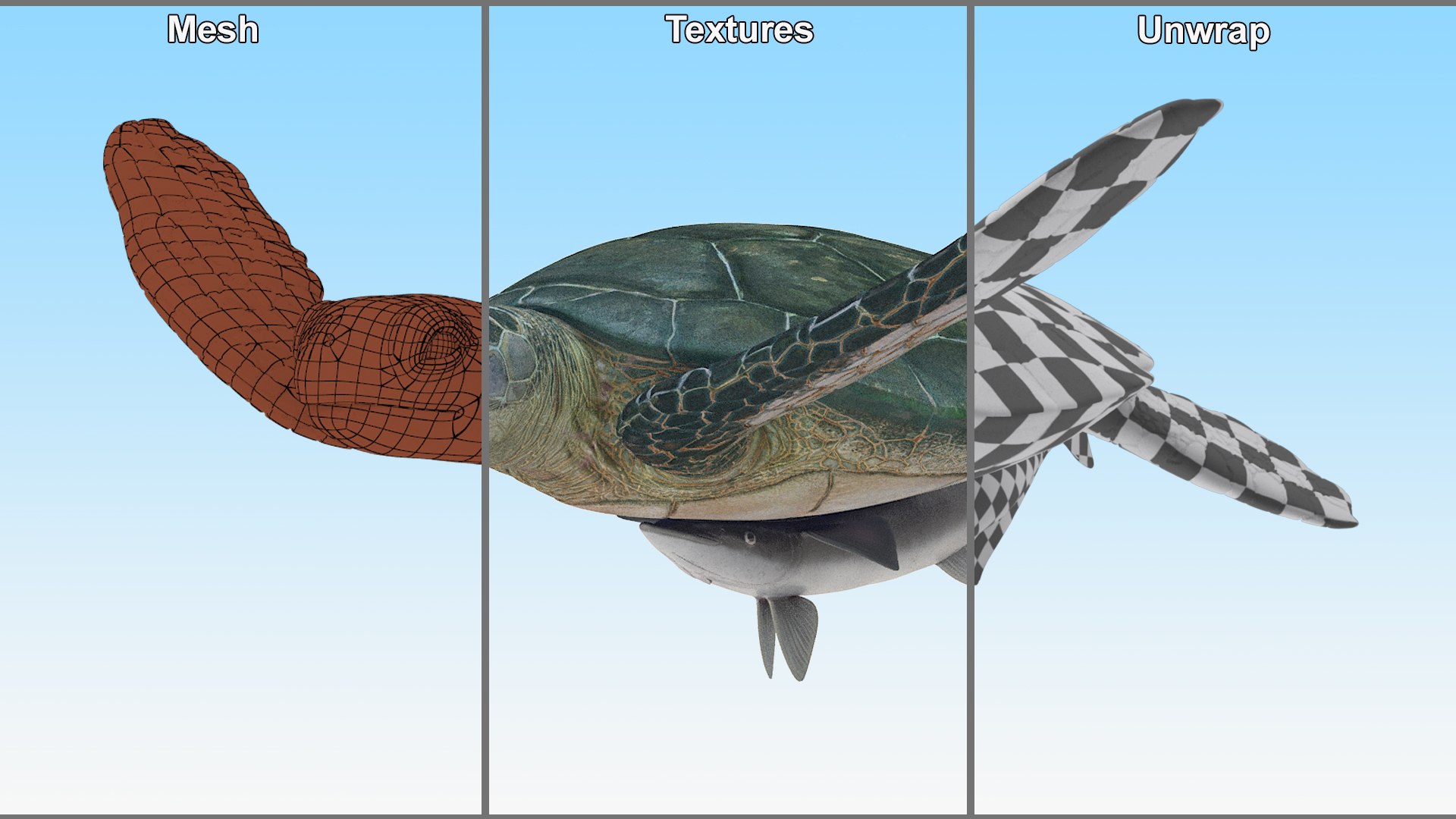 3D Remora Fish with Sea Turtle model https://p.turbosquid.com/ts-thumb/iU/1zfoTM/KY/remora_fish_with_sea_turtle_010/jpg/1755245306/1920x1080/fit_q87/4f6c99912a30f206b0c0db637cfc1da0025d528e/remora_fish_with_sea_turtle_010.jpg