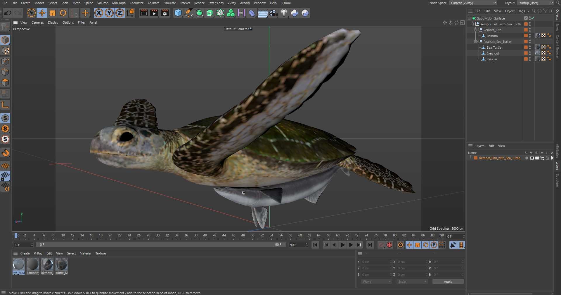 3D Remora Fish with Sea Turtle model https://p.turbosquid.com/ts-thumb/iU/1zfoTM/OW/remora_fish_with_sea_turtle_1003/jpg/1755245329/1920x1080/fit_q87/6024eb32f53110de581db6c1455c6310c854f642/remora_fish_with_sea_turtle_1003.jpg