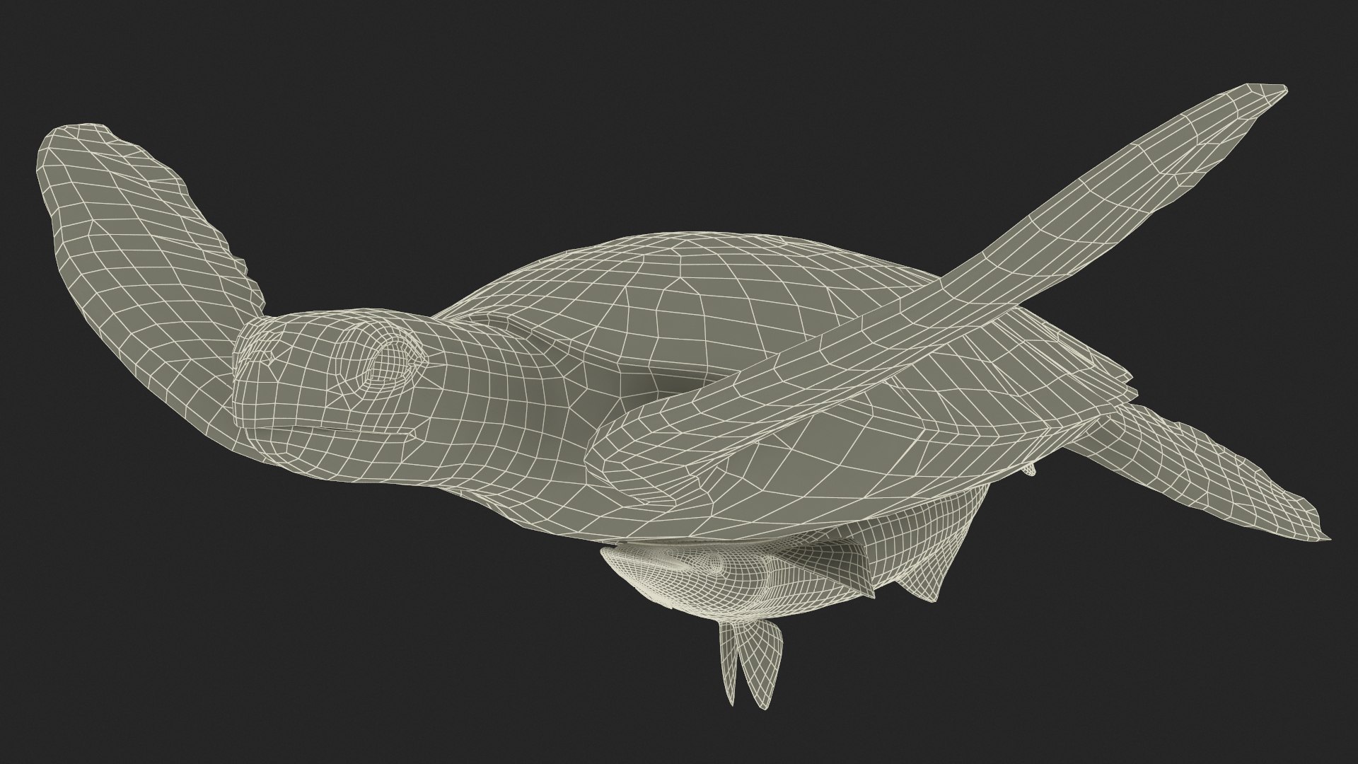 3D Remora Fish with Sea Turtle model https://p.turbosquid.com/ts-thumb/iU/1zfoTM/Y0/remora_fish_with_sea_turtle_016/jpg/1755245324/1920x1080/fit_q87/f085fb87606e441a6091f9315a7514fad6a0d26e/remora_fish_with_sea_turtle_016.jpg