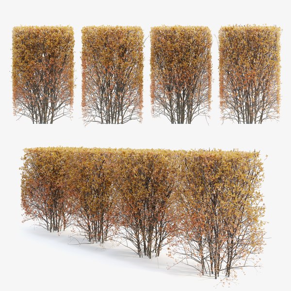 Hedge Bush 07 3D model - TurboSquid 1957498