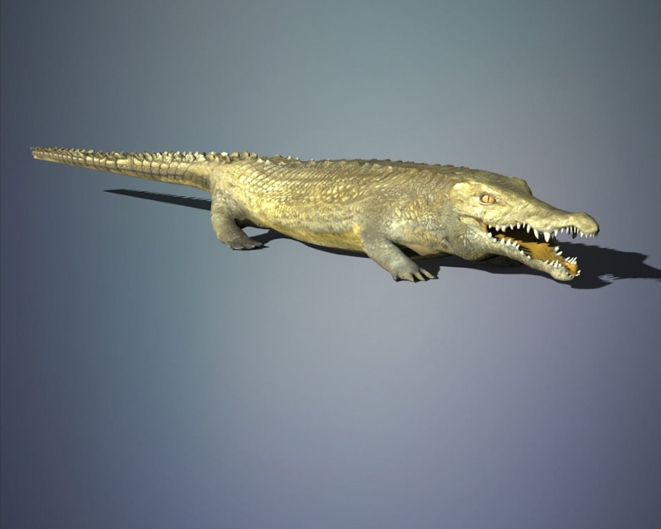 crocodile 3D model https://p.turbosquid.com/ts-thumb/iU/D0VllA/T5tf9eqY/03/jpg/1552553463/1920x1080/fit_q87/5cf97a0cd90bfe738b63d295f371cdab13b13c15/03.jpg