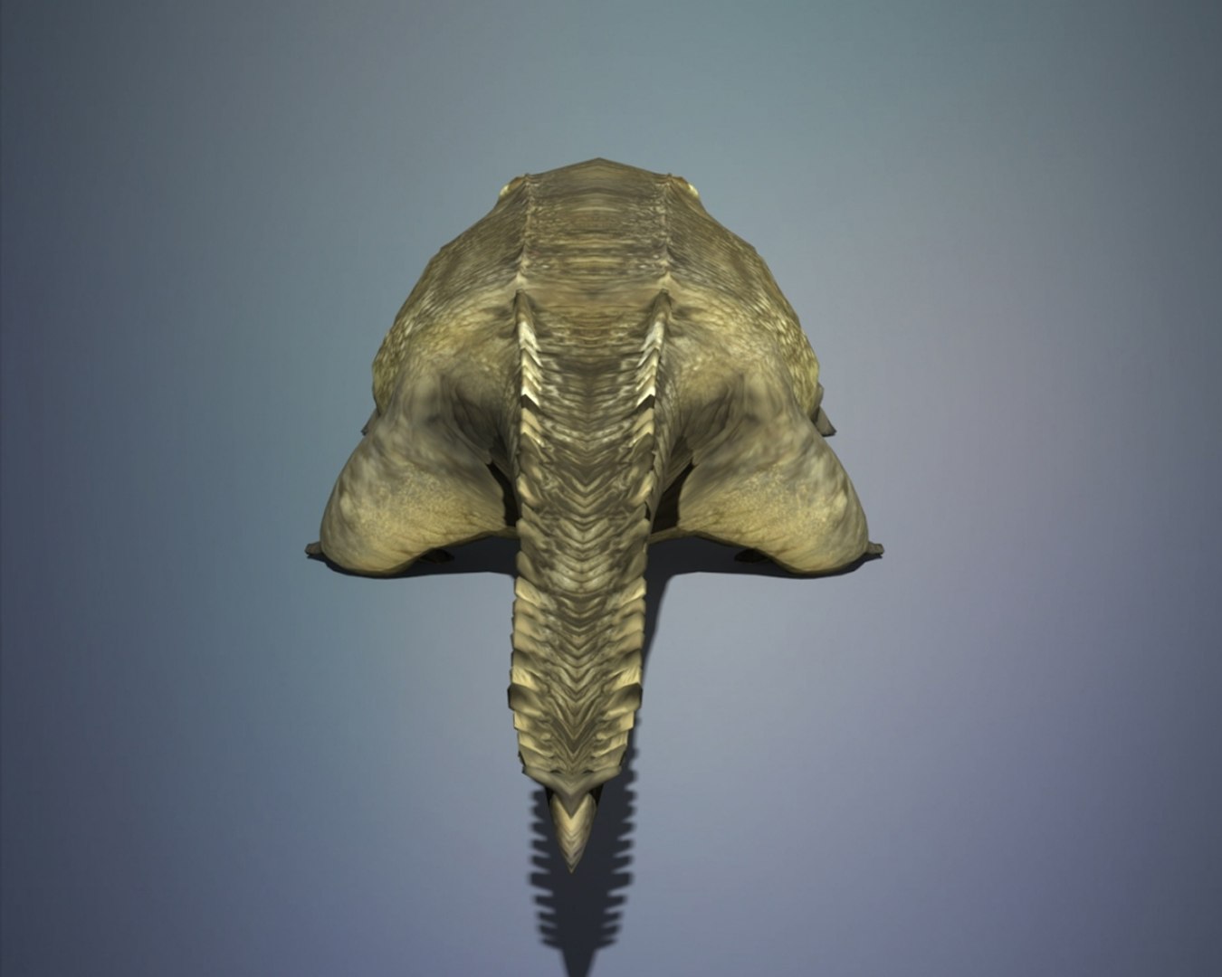 crocodile 3D model https://p.turbosquid.com/ts-thumb/iU/D0VllA/kQUvXPD0/09/jpg/1552553463/1920x1080/fit_q87/e3e851ab4bd7ebb7b33b0c5ff56f0e4365c26a1d/09.jpg