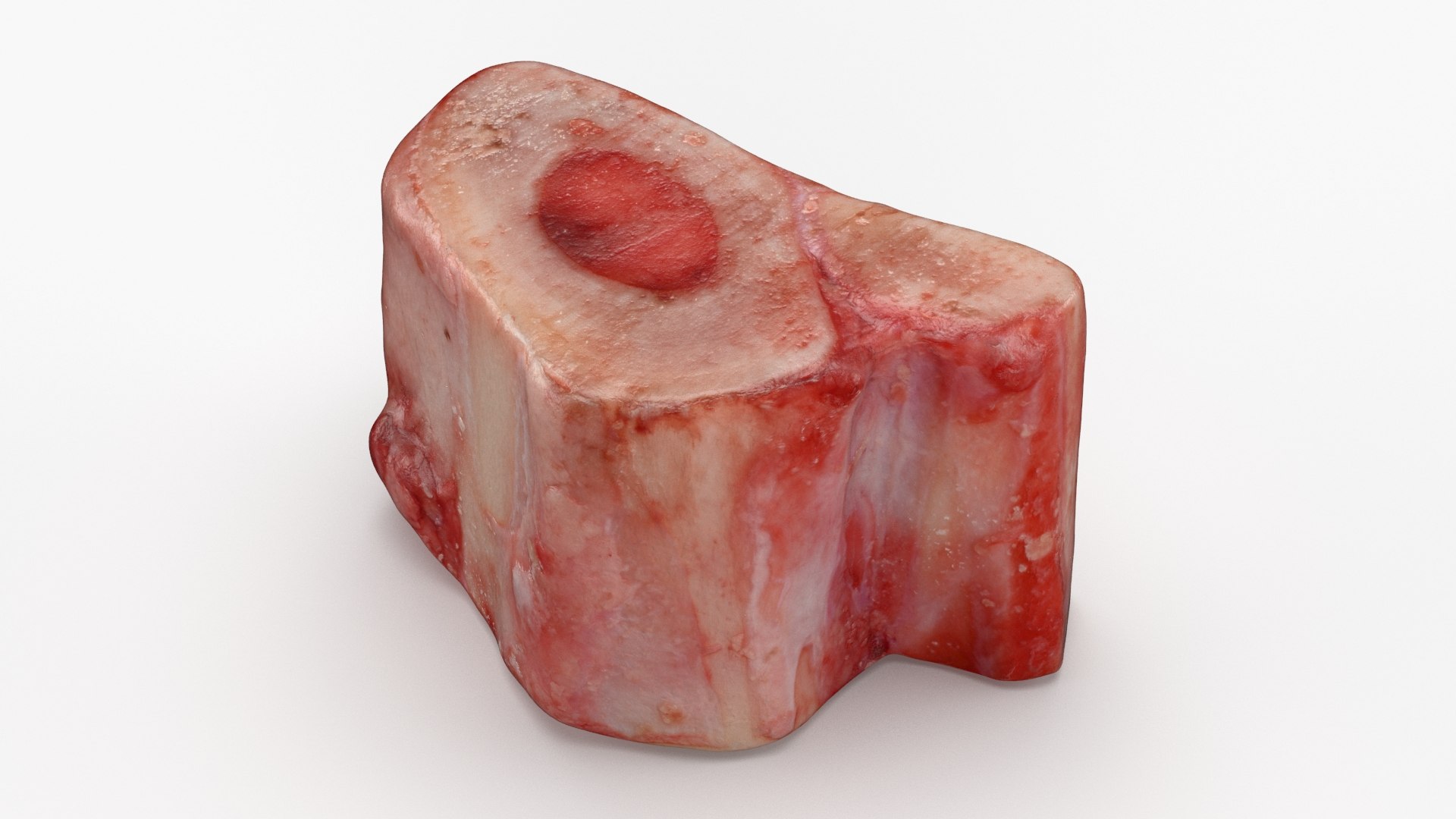 Raw Meat Collection 2 3D model https://p.turbosquid.com/ts-thumb/iU/M9Q42y/73/marrowbone03_a0001/jpg/1629653228/1920x1080/fit_q87/c0ab5b24c0861b5a5512fa79500dcdbe717cf3d5/marrowbone03_a0001.jpg