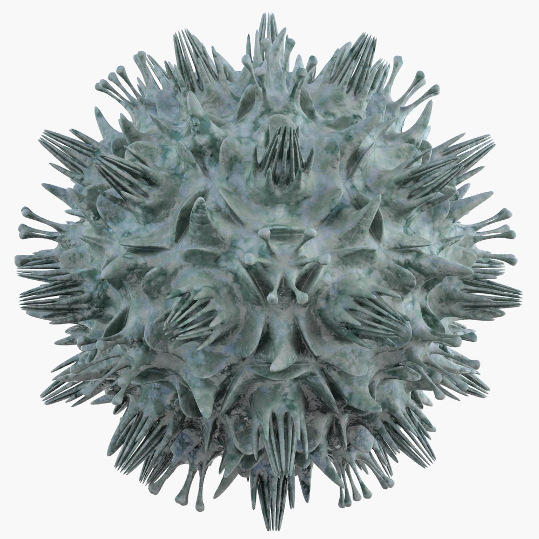 micro object mht 3d obj https://p.turbosquid.com/ts-thumb/iU/OSnMiq/gdP0LDvf/micro_object_mht053_ren02/jpg/1422707294/1920x1080/fit_q87/407e33510a17fb8406123f52795231df650b9092/micro_object_mht053_ren02.jpg