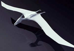 3d model pteranodon dinosaur