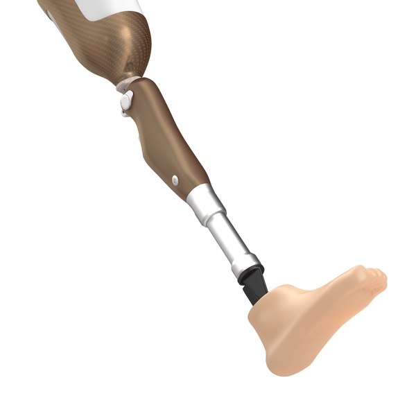 3d model prosthetic leg rigged