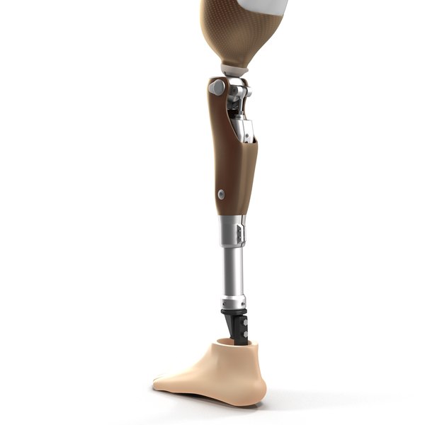 3d model prosthetic leg rigged