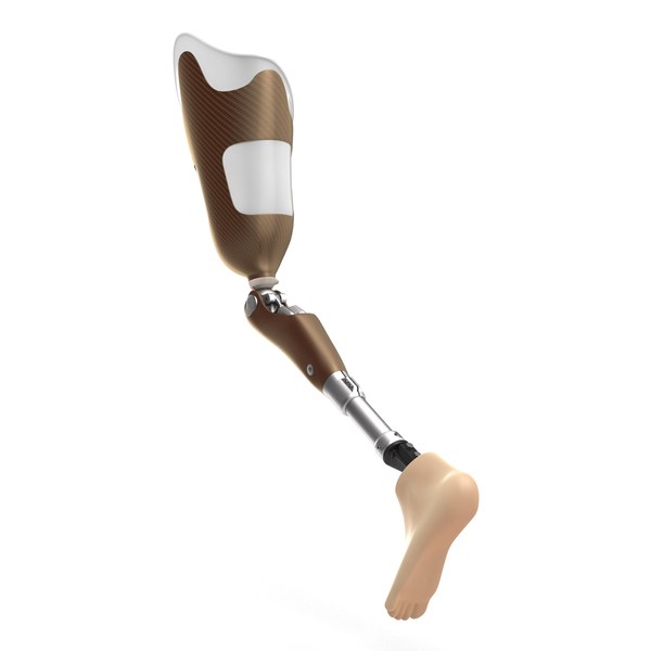 3d model prosthetic leg rigged