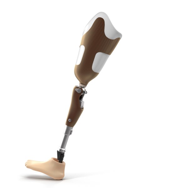 3d model prosthetic leg rigged