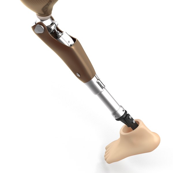 3d model prosthetic leg rigged