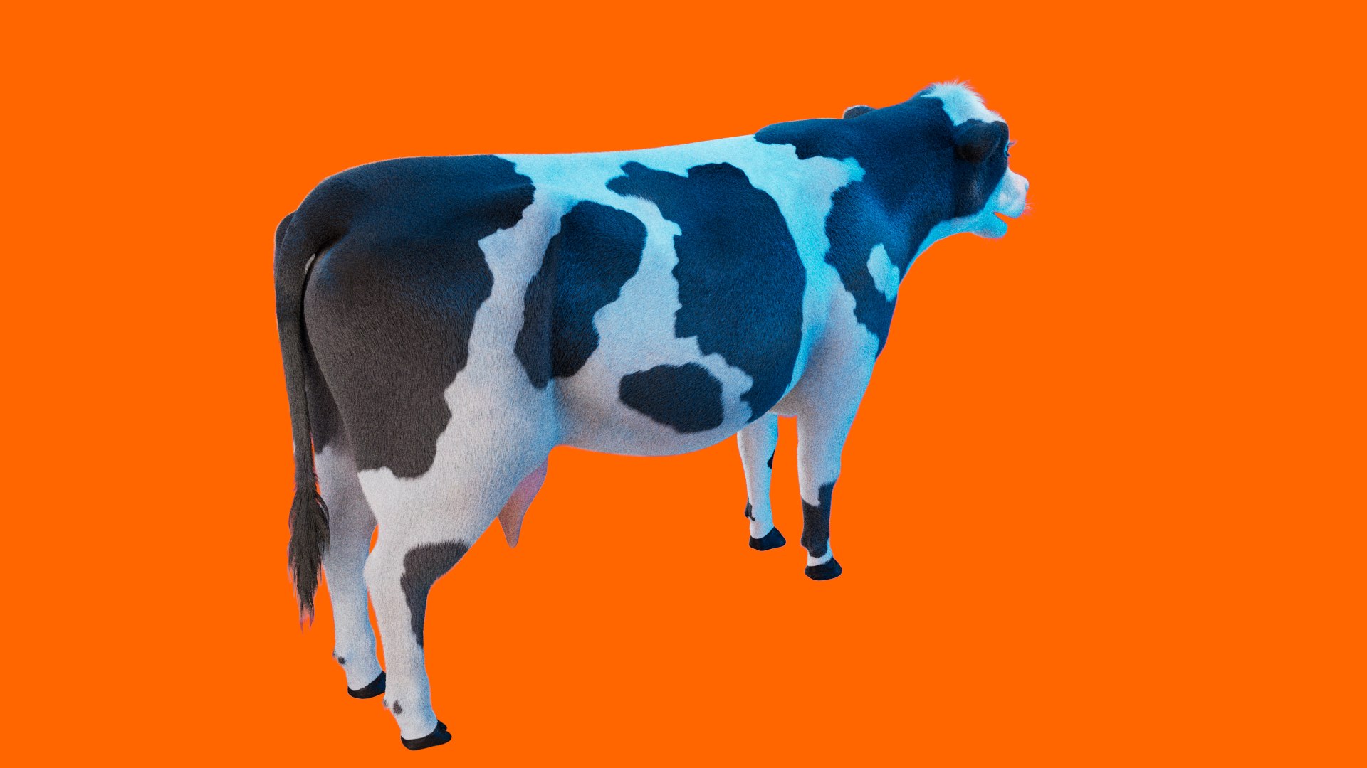 Cow Rigged Fur 3D model 3D model https://p.turbosquid.com/ts-thumb/iU/Wsuadj/6A/cow_xgen.0009_00013/jpg/1681655649/1920x1080/fit_q87/706e539a0d136e2565933ad7c600b8e0016fdc64/cow_xgen.0009_00013.jpg