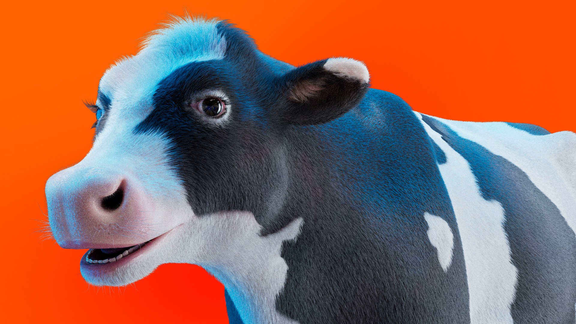 Cow Rigged Fur 3D model 3D model https://p.turbosquid.com/ts-thumb/iU/Wsuadj/Bk/cow_1/jpg/1681655431/1920x1080/fit_q87/b5d9cd65d607617f37eef57f7827c275769f6236/cow_1.jpg
